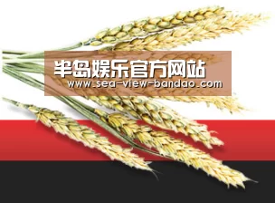 半岛娱乐官方网站